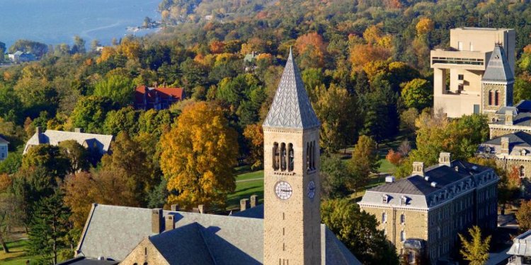 7. Cornell University