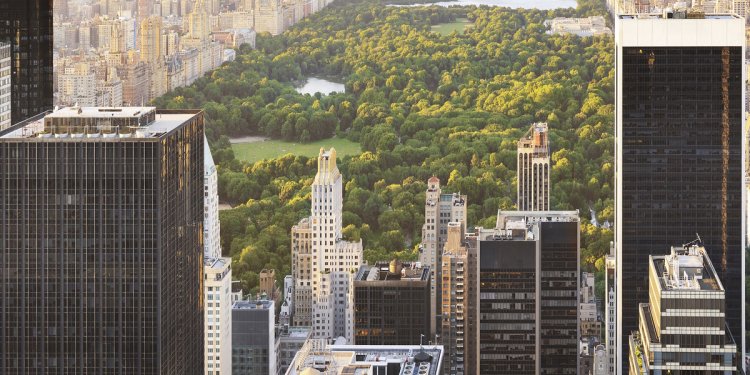 Car Rentals in Cortland