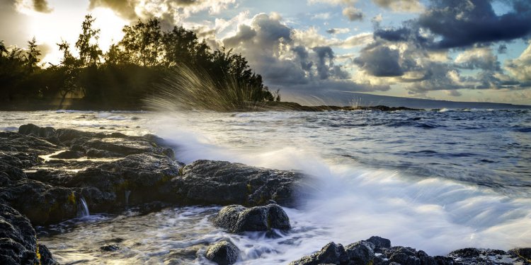 Car Rentals in Hilo from