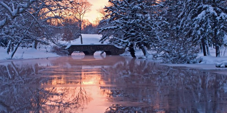 National Car rental Michigan