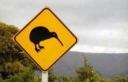 Do you ever end on a road trip to simply take photos with the road signs?