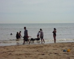 check out one of many shores around Auckland with your vehicle hire for a free of charge activity!