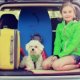 Hire car prices