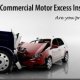 Vehicle excess insurance