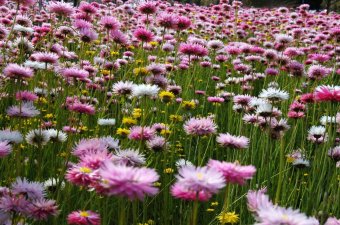 Stirling number nationwide Park