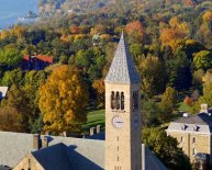 Best Car rental comparison