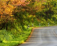 Best Car rental Sites online