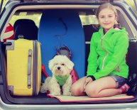 Hire car prices