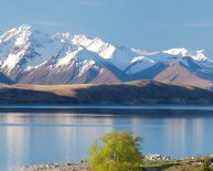 Last minute car hire New Zealand