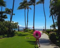 Maui car Rentals Review