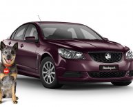 Redspot car rental reviews