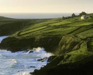 TripAdvisor car hire