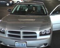 Where to rental a car in Vegas?