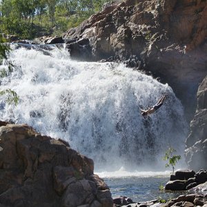 waterfall australia rapids